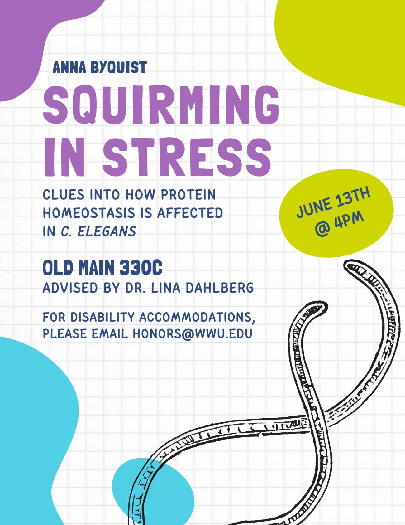 White background with "Anna Byquist" in blue font. Then the title "Squirming in stress" in purple font and subtitle "clues into how protein homeostasis is affected in C. elegans" in blue. Underneath in blue font "Old main 330C" and "advised by Dr. Lina Dahlberg" then "for disability accommodations please email honors@wwu.edu". Image of two nematodes in black and white in the bottom right corner. Green circle with "June 13th @4pm" on right side.