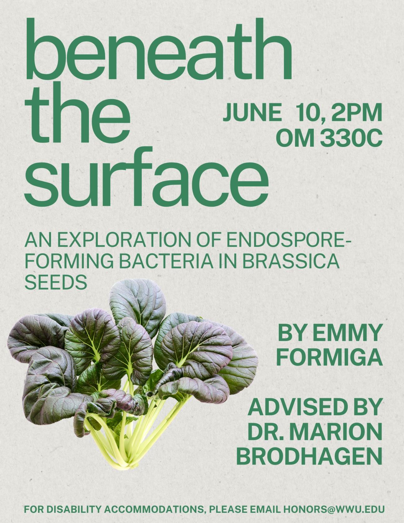 A white poster with an image of a bunch of tatsoi. The text reads "Beneath the Surface: An Exploration of Endospore-Forming Bacteria in Brassica Seeds. June 10th, 2PM, OM 330C. By Emmy Formiga, advised by Dr. Marion Brodhagen. For disability accommodations, please email honors@wwu.edu."
