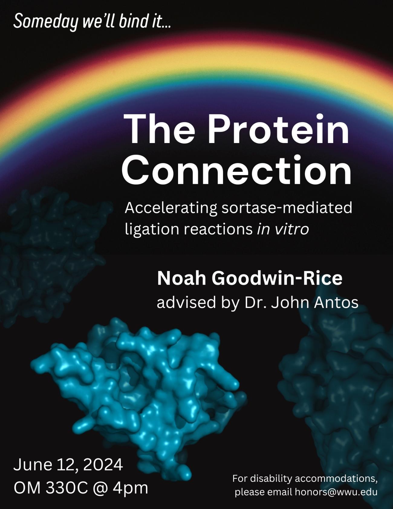 Black background containing a rainbow across the top and blue surface representations of three globular proteins below. Text reads “Someday we'll bind it... The Protein Connection. Accelerating sortase-mediated ligation reactions in vitro. Noah Goodwin-Rice, advised by Dr. John Antos. June 12, 2024, OM 330C @ 4pm. For disability accommodations, please email honors@wwu.edu”. 