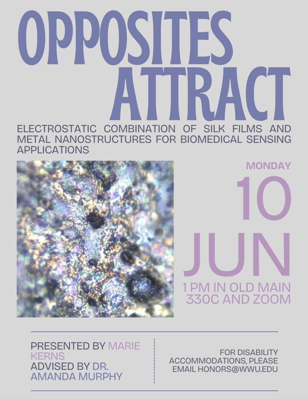 An optical microscope picture displays metal nanostructures which appear as a shiny surface with iridescent blues, greens, pinks, and gold. Text reads “Opposites Attract, the electrostatic combination of silk films and metal nanostructures for biomedical sensing applications” in bold letters. Next to the image is text reading “Monday 10 Jun, 1 PM in Old Main 330C and zoom. Presented by Marie Kerns, Advised by Dr. Amanda Murphy” and “For disability accommodations, please email honors@wwu.edu”.