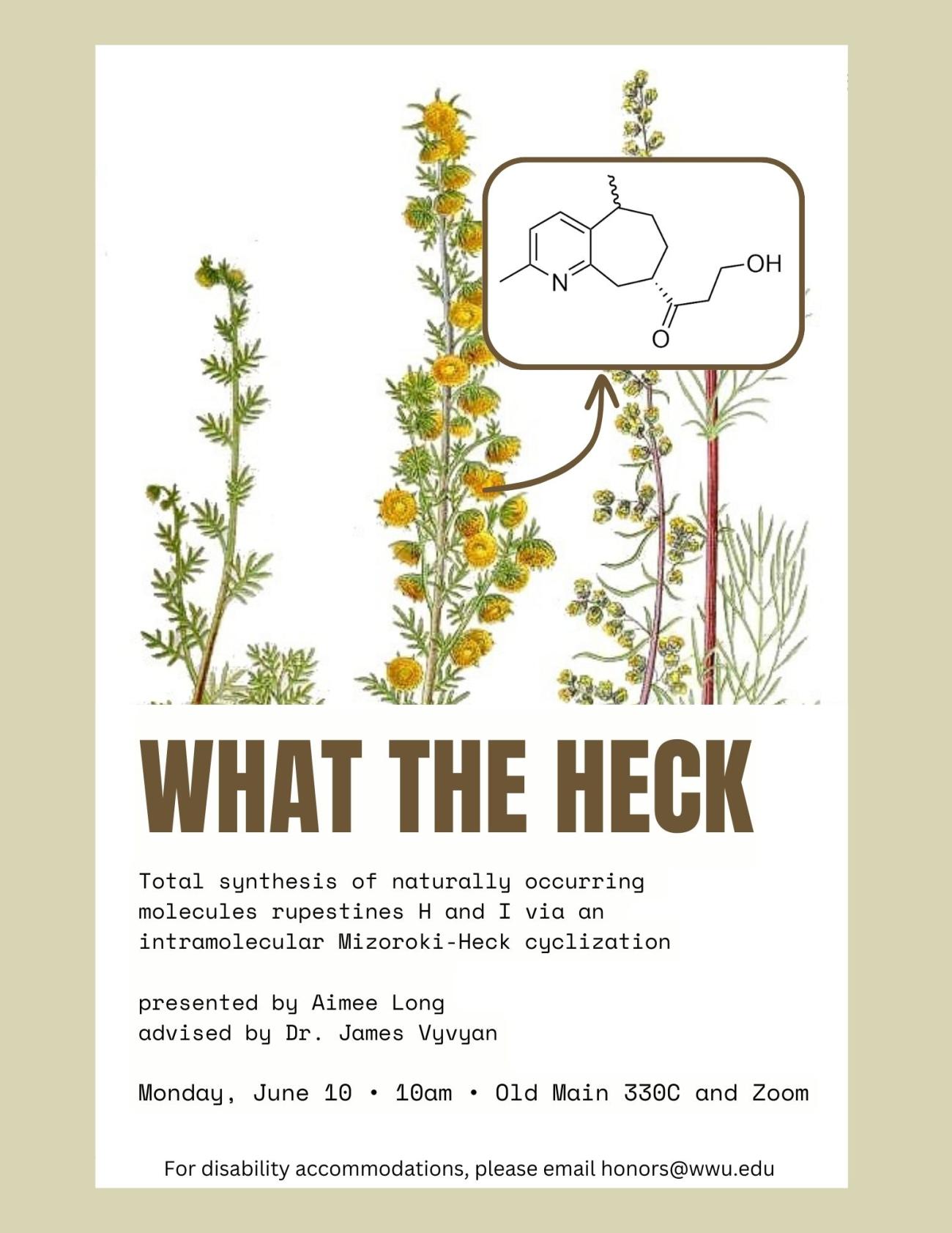 Plant drawings against a white background with a beige border. There is an organic molecule in a box which points to a plant. Text reads "What the Heck. Total synthesis of naturally occurring molecules rupestines H and I via an intramolecular Mizoroki-Heck cyclization. Presented by Aimee Long, advised by Dr. James Vyvyan. Monday, June 10; 10am; Old Main 330C and Zoom. For disability accommodations, please email honors@wwu.edu."