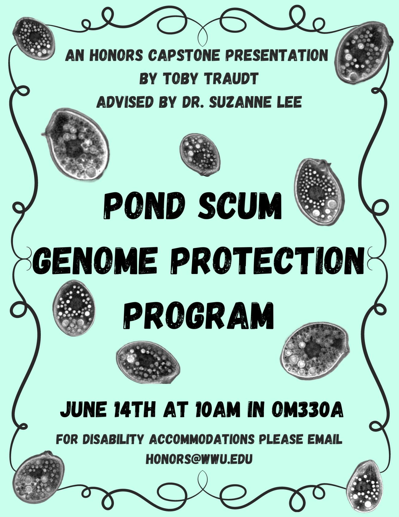 Sea-foam green background with a decorative black border. Scattered across are multiple images of the single-celled eukaryotic ciliate Tetrahymena thermophila. Text reads “An Honors Capstone Presentation by Toby Traudt. Advised by Dr. Suzanne Lee. Pond Scum Genome Protection Program. June 14th At 10AM in OM330A. For Disability Accommodations Please Email honors@wwu.edu”