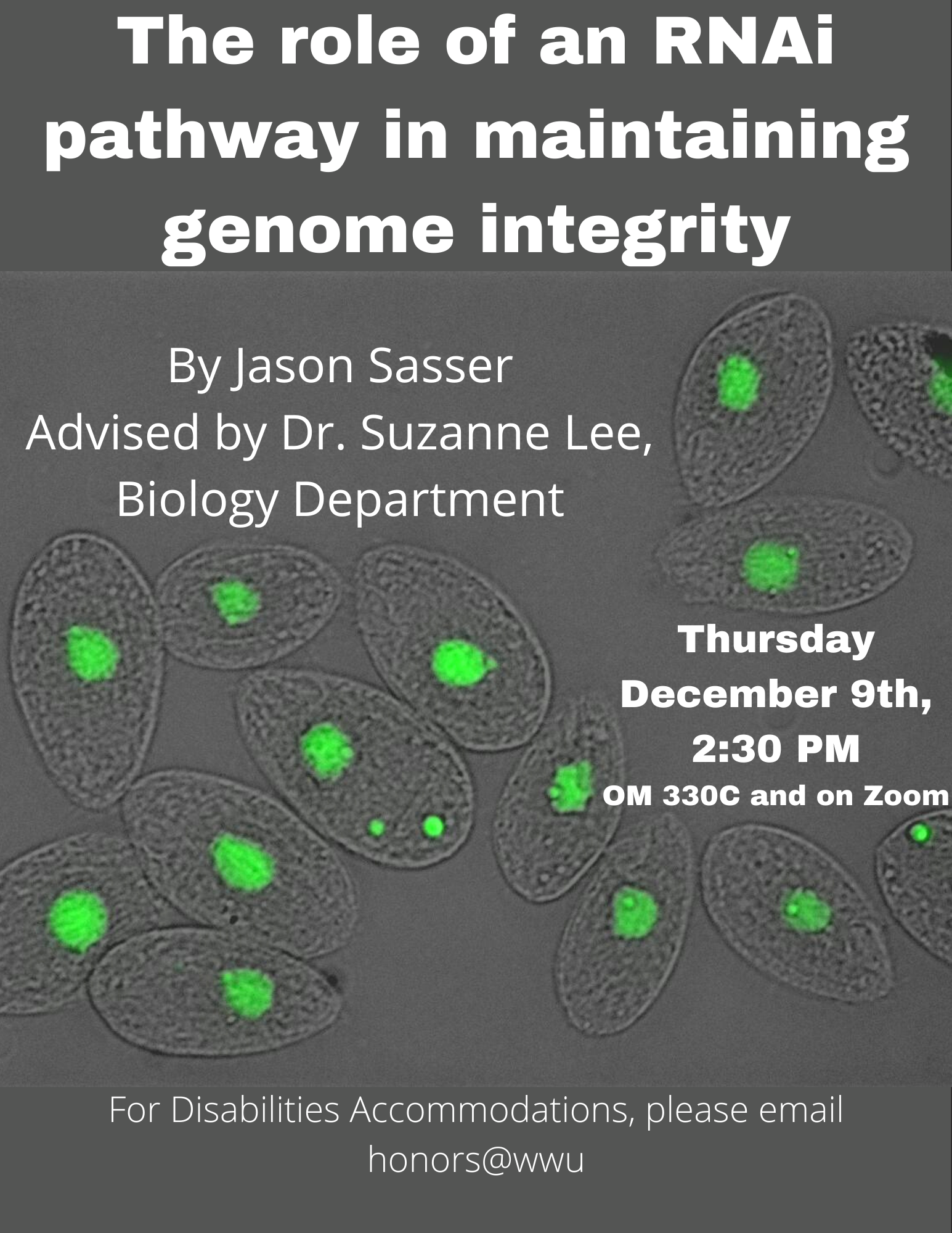 A grey poster with microscopic cells. The text reads: "The role of an RNAi pathway in maintaining genome integrity. By Jason Sasser. Advised by Dr. Suzanne Lee, Biology Department. Thursday December 9th, 2:30 pm in OM330C and on Zoom. For disability accommodations please email honors@wwu.edu"