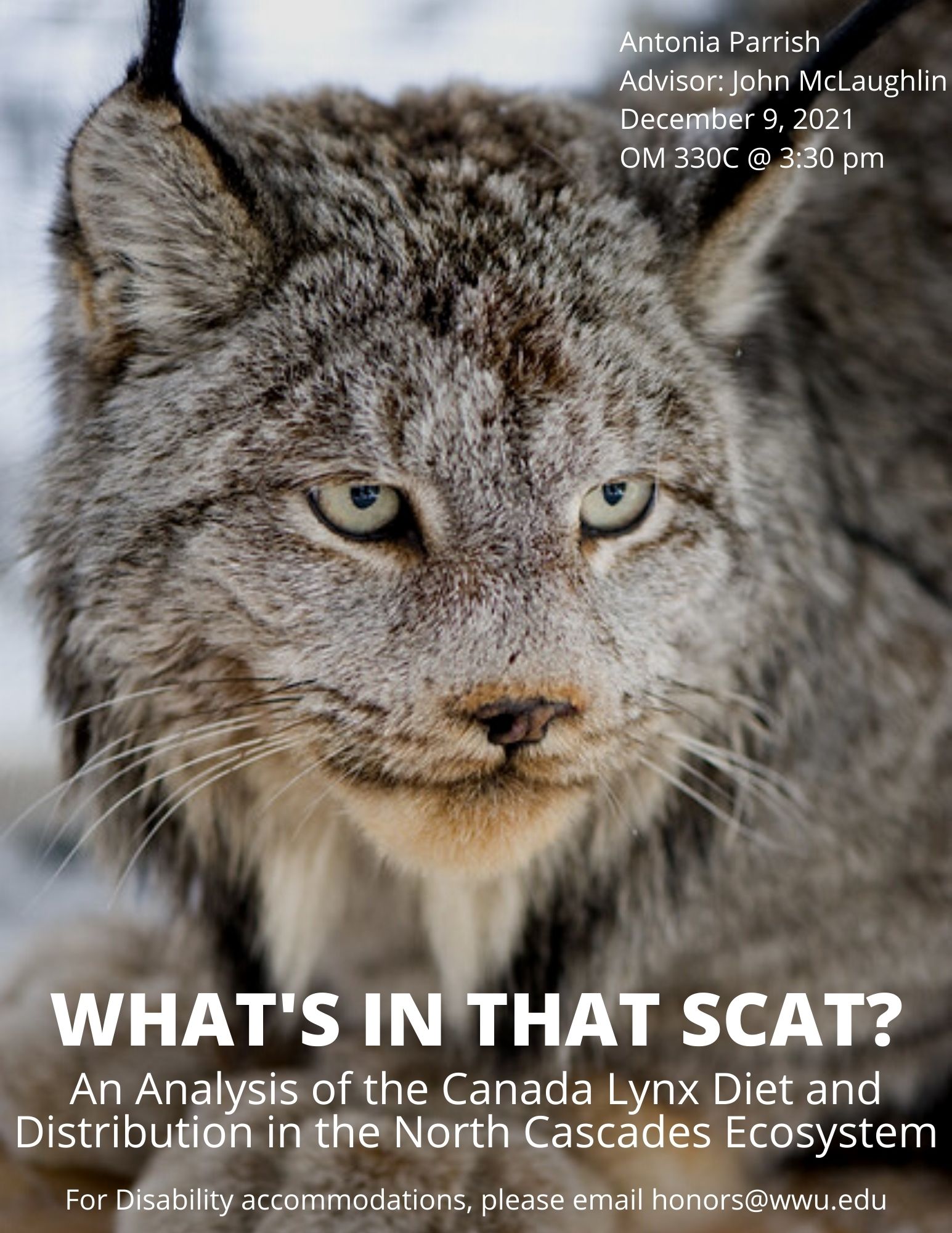 Please attend my presentation titled "What's in that Scat?: An analysis of the Canada lynx diet and distribution in the North Cascades Ecosystem" on December 9, 2021 in room OM 330C at 3:30 pm.  The poster depicts a close-up image of a Canada lynx.