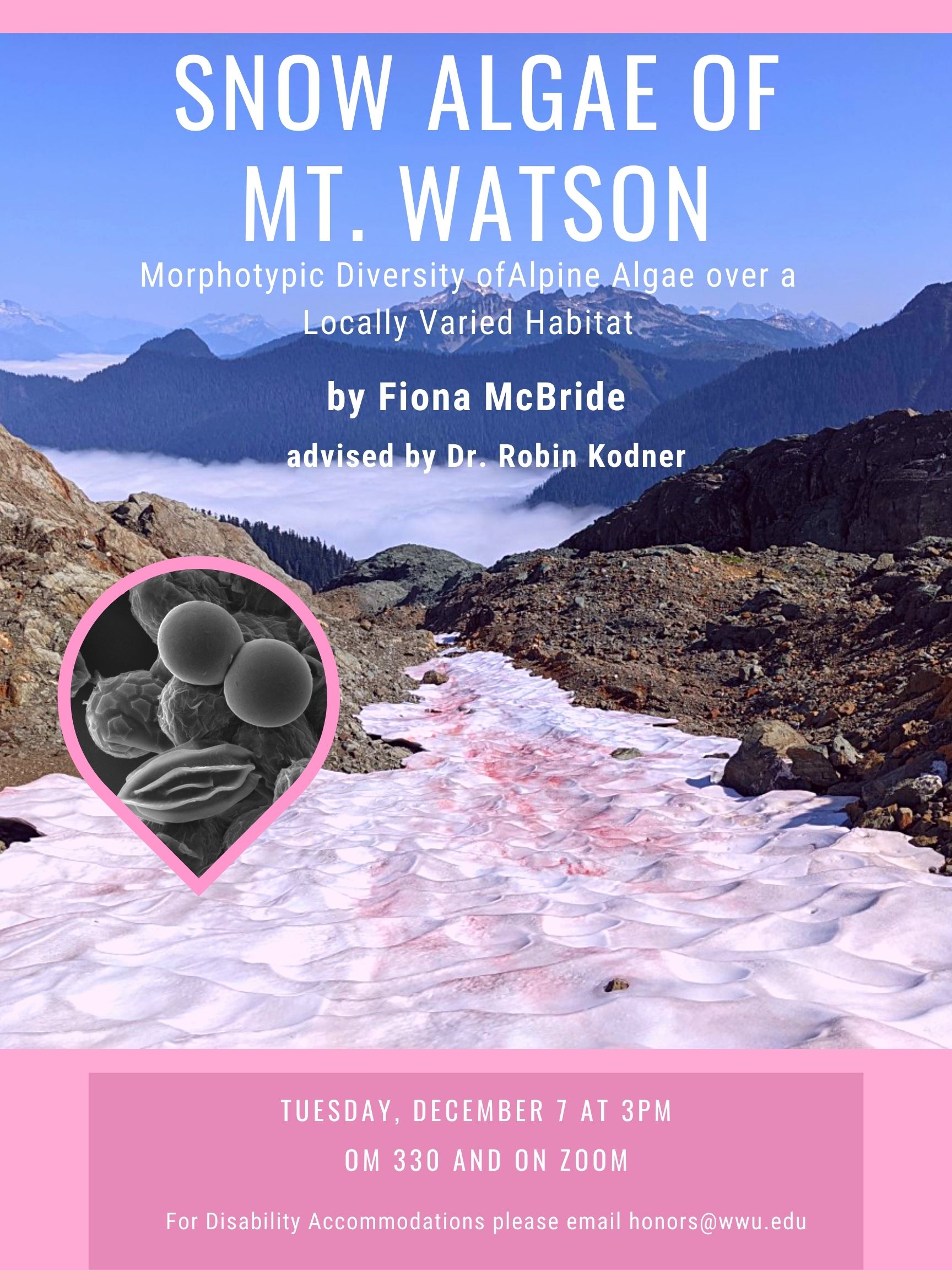 A poster with a photo of a mountain with snow that has algae on it. The text reads "Snow algae of Mt. Watson. Morphotypic Diversity of Alpine Algae over a Locally Varied Habitat. By Fiona McBride, advised by Dr. Robin Kodner. Tuesday December 7 at 3PM at OM 330 and on zoom. For disability accommodations please email honors@wwu.edu."