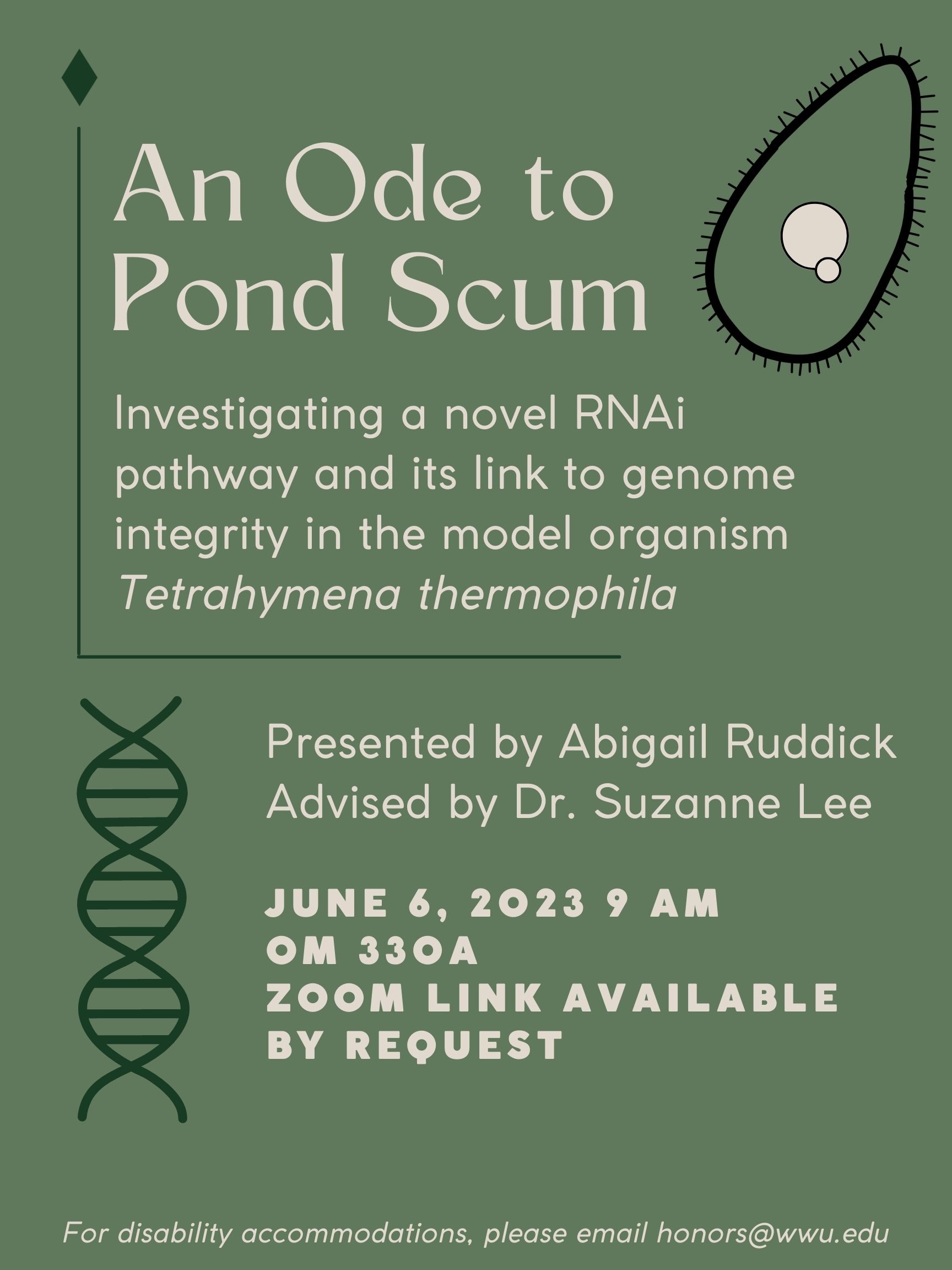 A green poster with a drawing of Tetrahymena thermophila and a DNA double helix. Text reads: "An Ode to Pond Scum – Investigating a novel RNAi pathway and its link to genome integrity in the model organism Tetrahymena thermophila.’ Presented by Abigail Ruddick. Advised by Dr. Suzanne Lee. June 6, 2023 9 AM. Old Main 331. Zoom link available by request. For disability accommodations, please email honors@wwu.edu."