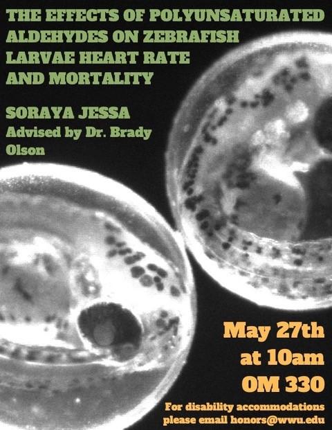 Poster with a background showing things under a microscope lens. The text reads: “The Effects of Polyunsaturated Aldehydes on Zebrafish Larvae Heart Rate and Mortality. Soraya Jessa, advised by Dr. Brady Olson. May 27th at 10am OM 330. For disability accommodations, please email honors@wwu.edu."