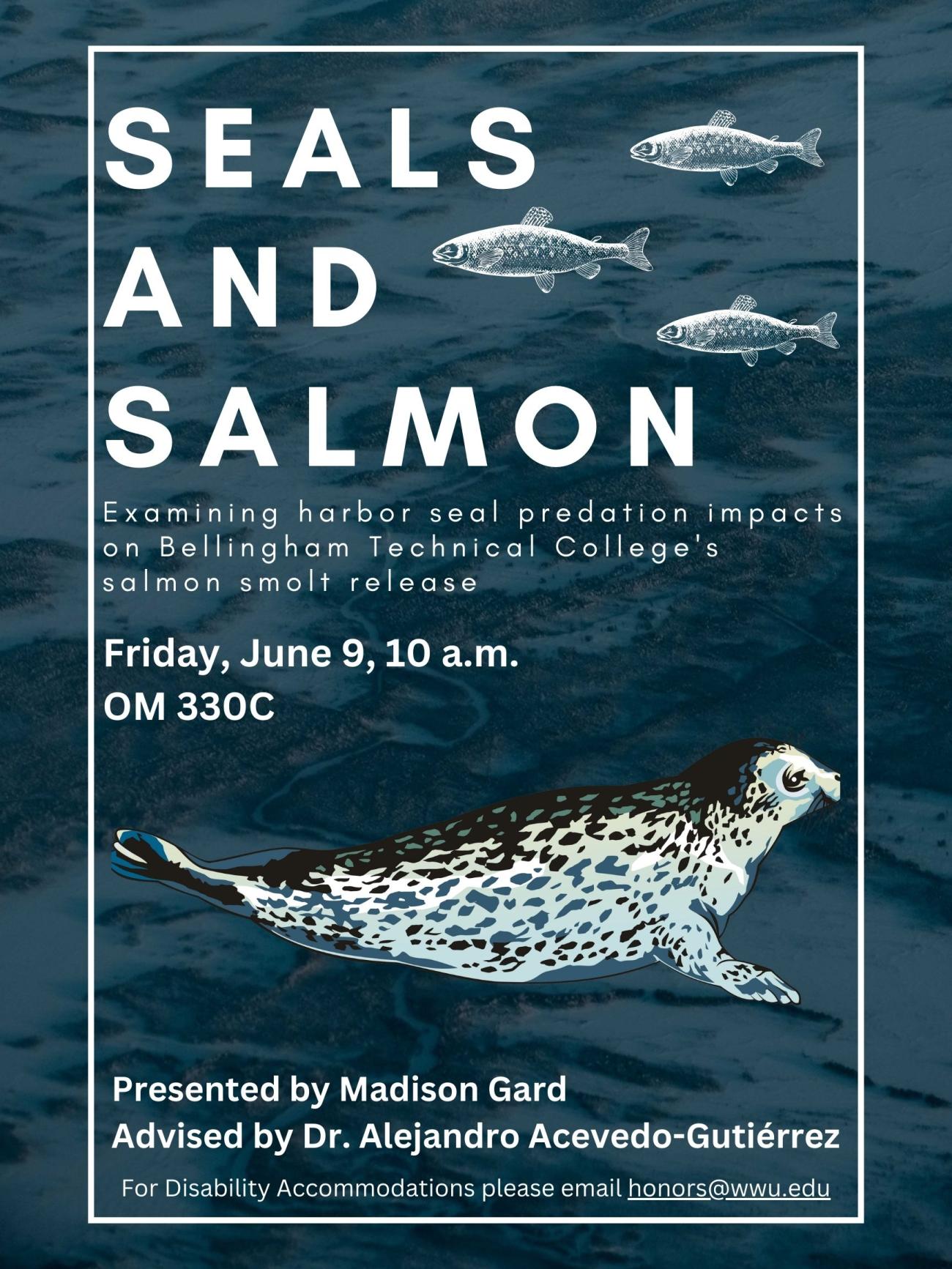 A dark blue poster with water surface texturing with white line sketches of three salmon smolt and a harbor seal. Text reads "Seals and Salmon: Examining harbor seal predation impacts on Bellingham Technical College's salmon smolt release. Friday, June 9th, 10:00 a.m. OM 330C. Presented by Madison Gard. Advised by Dr. Alejandro Acevedo-Gutiérrez. For disability accommodations, please email honors@wwu.edu"