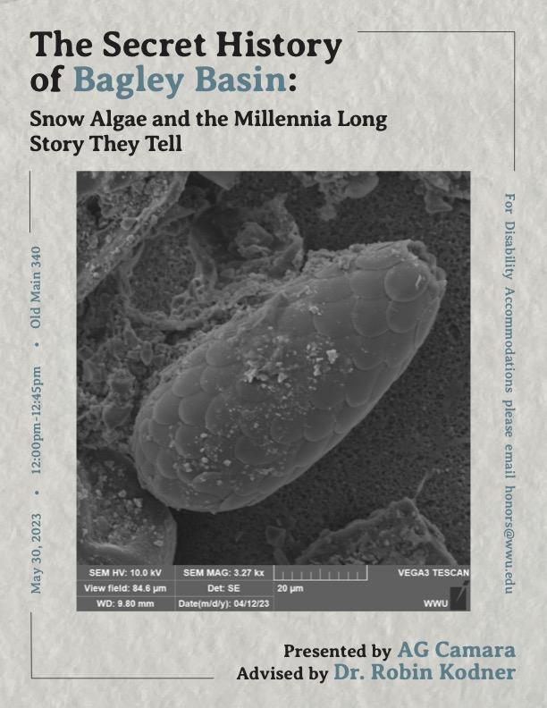 Title in top left of the poster reads: "The Secret History of Bagley Basin" with subtitle "Snow Algae and the Millennia Long Story they Tell". In the center of the poster is a SEM image of a testate amoebae microfossil which is oblong, has an aperture at one end at one end, and has oval elongated shell plates that overlap to give it an armored appearance. On one side of this image reads vertical text "May 30, 2023, 12:00pm-12:40pm, Old Main 340"