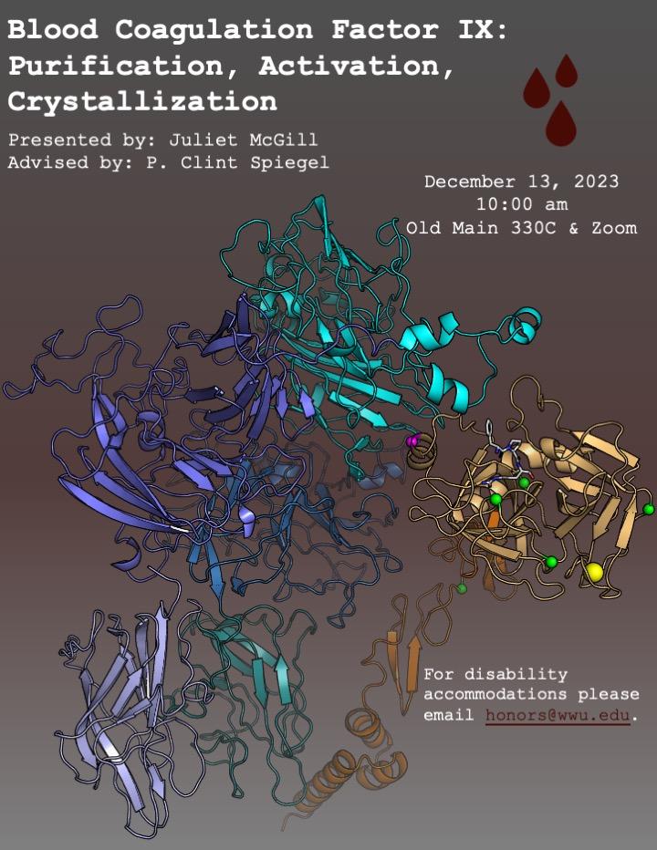 Alt Text: Gray and red gradient background containing a multicolored cartoon protein structure illustration of the latest Spiegel lab modeling of the Factor VIII and Factor XI tenase complex. Text reads “Blood Coagulation Factor IX: Purification, Activation, Crystallization. Presented by : Juliet McGill, Advised by: P. Clint Spiegel. December 13, 2023, 10:00 am, Old Main 330C & Zoom. For disability accommodations please email honors@wwu.edu”.