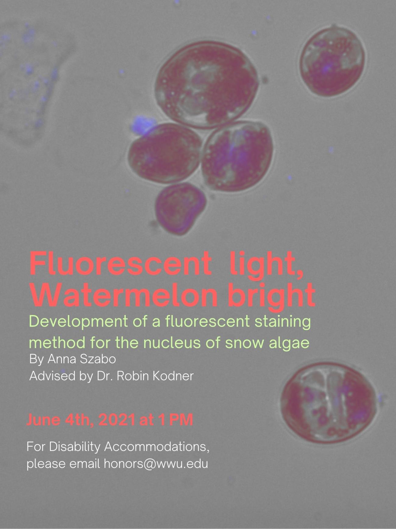 Anna Szabo – 1:00 pm  Development of a Fluorescence Microscopy Method to Investigate the Ploidy of PNW Snow Algae