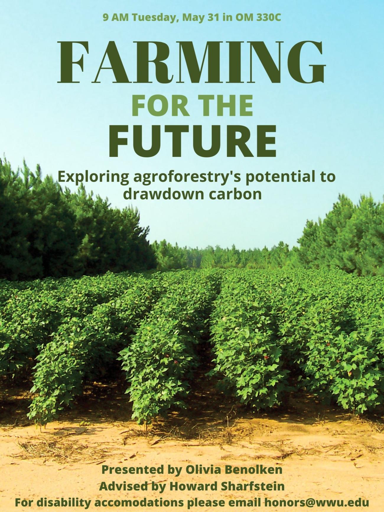 Background image is several rows of cotton with a single row of pine trees on each side. There is a light blue sky with the text: “Tuesday, May 31 at 9:00 am. Farming for the future. Exploring agroforestry’s potential to drawdown carbon.” At the bottom of the poster there is dirt with the text: “Presented by Olivia Benolken. Advised by Howard Sharfstein. For disability accommodations please email honors@wwu.edu”