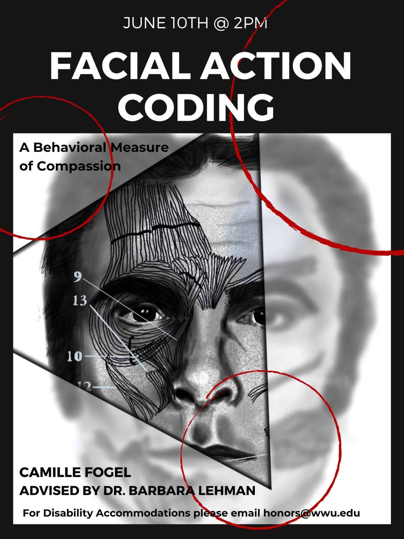 A diagram of musculature overlaying a black and white sketch of a man's face. Muscles are labeled with numbers. Around the image, text reads, "Facial Action Coding: A Behavioral Measure of Compassion. Camille Fogel, advised by Dr. Barbara Lehman. June 10th @ 2 PM. For disability accommodations please email honors@wwu.edu". 
