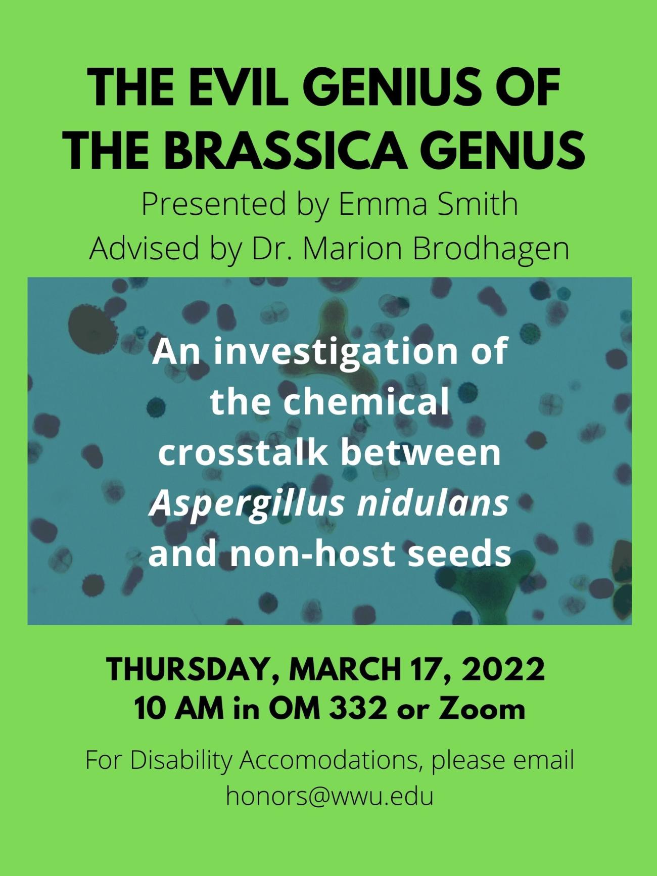 A poster with two dark green boxes on a blue background with bacterial cells randomly distributed around. The text reads: "The Evil Genius of the Brassica Genus, An investigation of the chemical cross-talk between A. nidulans and non-host seeds. A presentation by Emma Smith. Advisor: Dr. Marion Brodhagen. When: Thursday March 17th, 10-10:45 AM. Where: OM 332 or Zoom." 