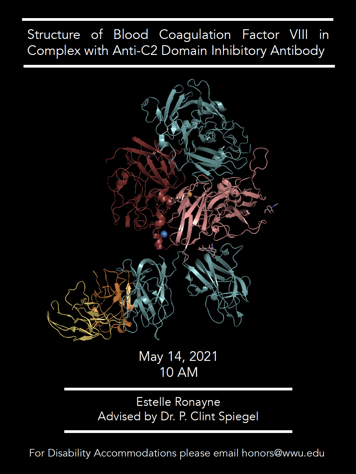 Black poster with white text and a digital rendition of Crystal Structure of Blood Coagulation Factor VIII in Complex with G99, an anti-C2 Inhibitory Antibody. PDBID: 7KBT. Text reads: "Structure of Blood Coagulation Factor VIII in Complex with Anti-C2 Domain Inhibitory Antibody. May 14, 2021, 10 AM. Estelle Ronayne, Advised by Dr. P. Clint Spiegel. For disability accommodations please email honors@wwu.edu". 