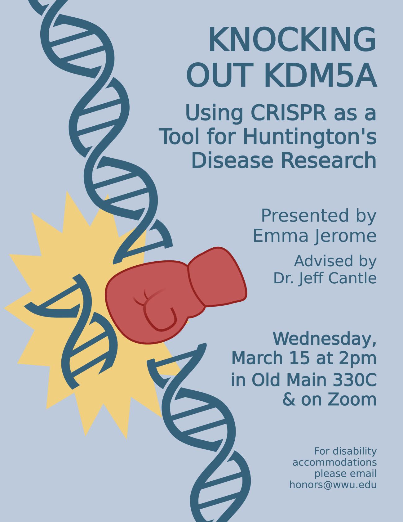 A light blue poster with an illustration of a red boxing glove breaking a strand of DNA. Text reads: “Knocking out Kdm5a – Using CRISPR as a tool for Huntington’s disease research. Presented by Emma Jerome. Advised by Dr. Jeff Cantle. Wednesday, March 15 at 2pm in Old Main 330C and on Zoom. For disability accommodations please email honors@wwu.edu.”