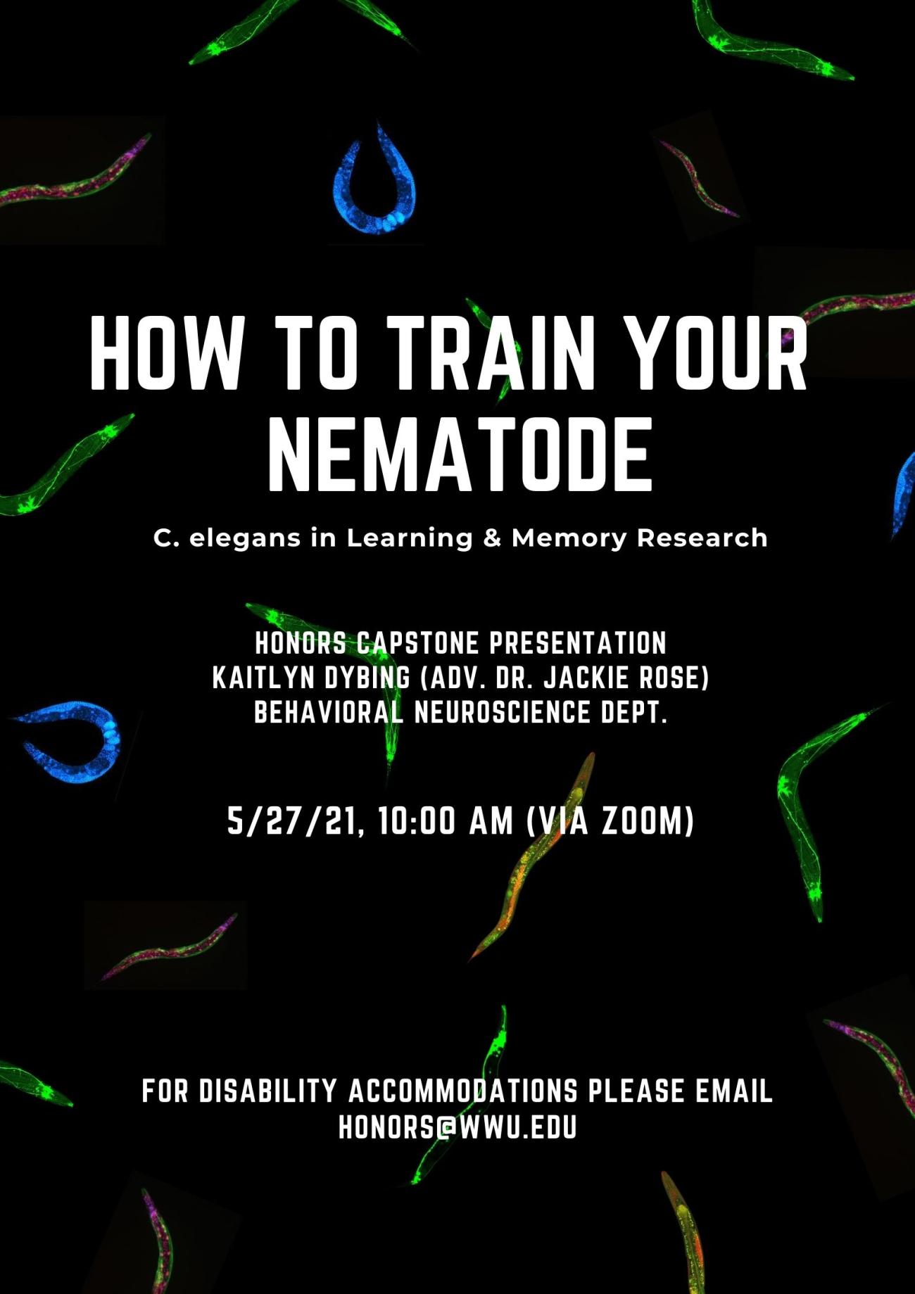 Black poster with multicolored neon images of C. elegans scattered across the background. White text reads “How to Train Your Nematode: C. elegans in Learning and Memory Research. Honors Capstone Presentation by Kaitlyn Dybing, advised by Dr. Jackie Rose from the Behavioral Neuroscience department. Thursday, May 27th at 10:00 AM via Zoom. For disability accommodations please contact honors@wwu.edu”.