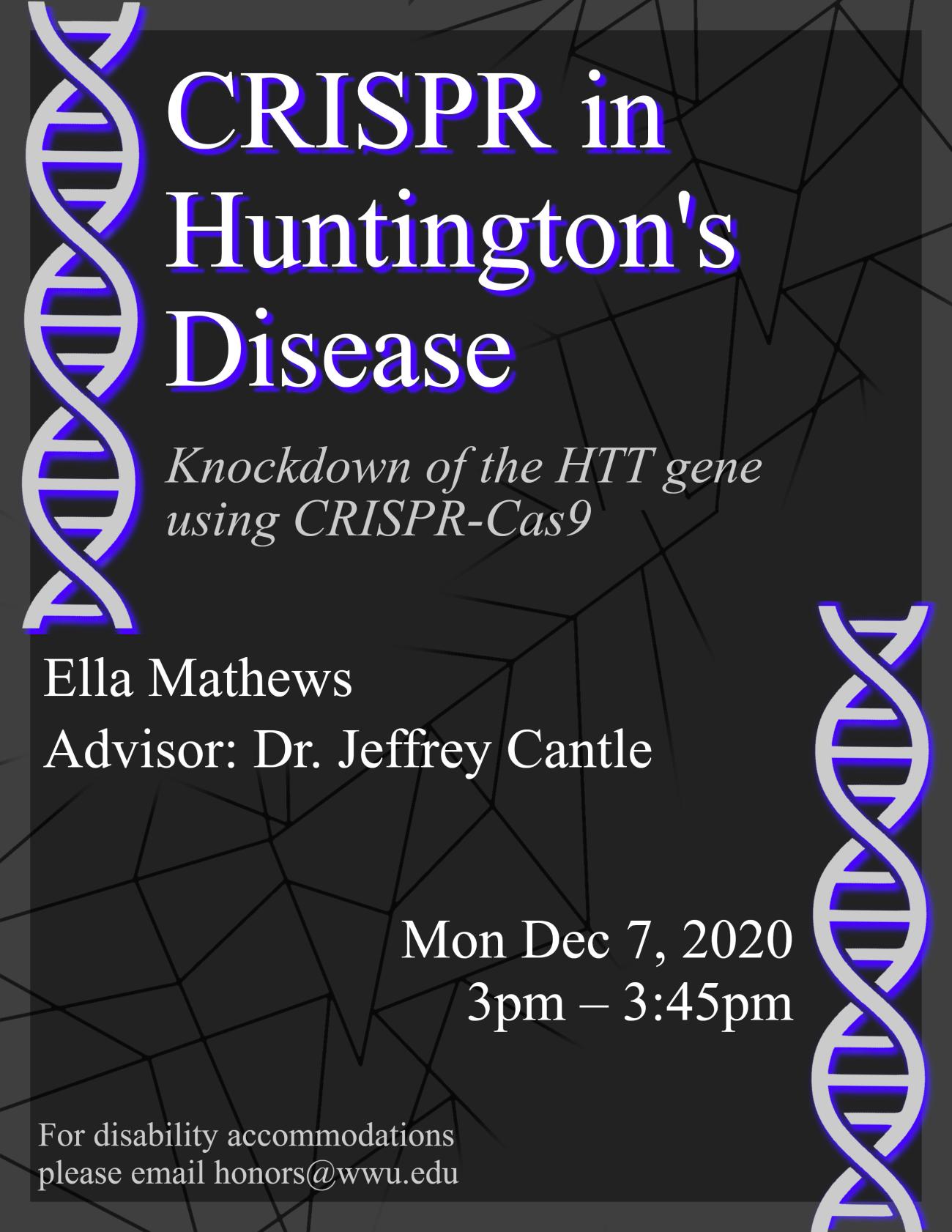 Image: Two cartoonish strands of purple DNA frame text on a black background. Text: CRISPR in Huntington's disease: Knockdown of the HTT gene using CRISPR-Cas9. By Ella Mathews, Advisor: Dr. Jeffrey Cantle. Mon Dec 7, 2020, 3pm - 3:45pm. For disability accommodations please email honors@wwu.edu"