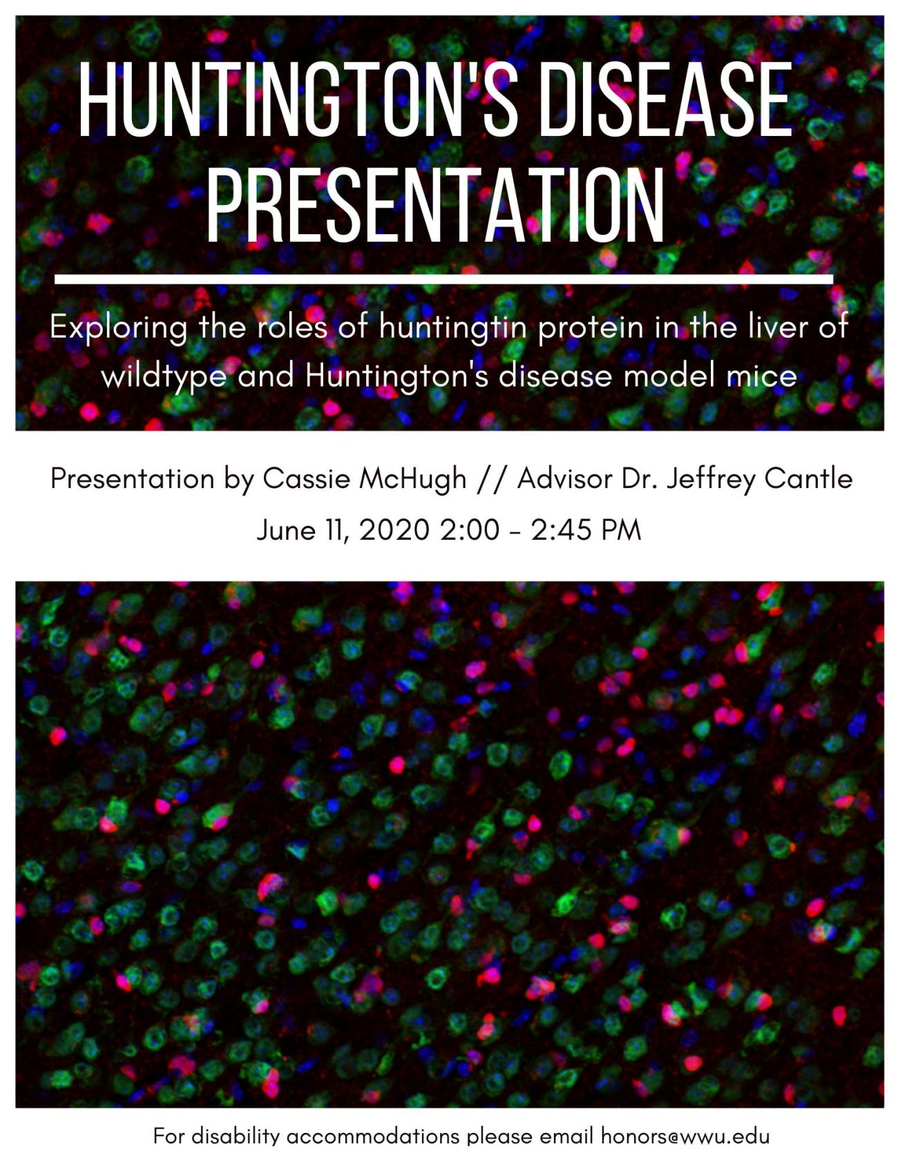 Text: "Huntington's disease presentation. Exploring the roles of huntingtin protein in the liver of wildtype and Huntington's disease model mice. Presentation by Cassie McHugh // Advisor Dr. Jeffrey Cantle. June 11, 2020 2:00-2:45 PM. For disability accommodations please email honors@wwu.edu."