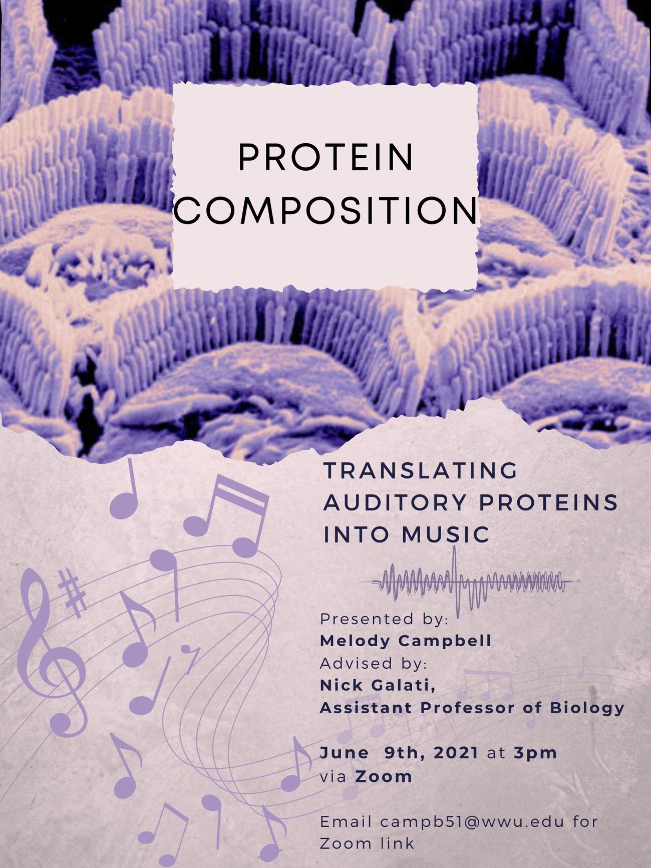 Light purple poster with a blown-up photo of proteins at the top, and clip art of a musical staff with notes next to text that reads: "Protein Composition: Translating Auditory Proteins into Music. Presented by Melody Campbell. Advised by Nick Galati, assistant professor of Biology. June 9th, 2021 at 3pm. Email campb51@wwu.edu for Zoom link." For disability accommodations please email honors@wwu.edu