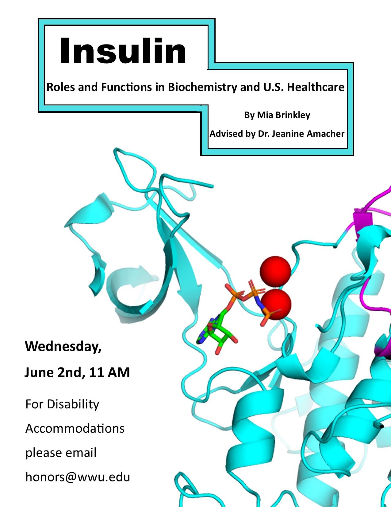 White poster with a multicolored cartoon image of insulin protein. Text reads: "Insulin: Roles and Functions in Biochemistry and U.S. Healthcare. By Mia Brinkley. Advised by Dr. Jeanine Amacher. Wednesday, June 2nd, at 11 am. For Disability Accommodations, please email honors@wwu.edu".