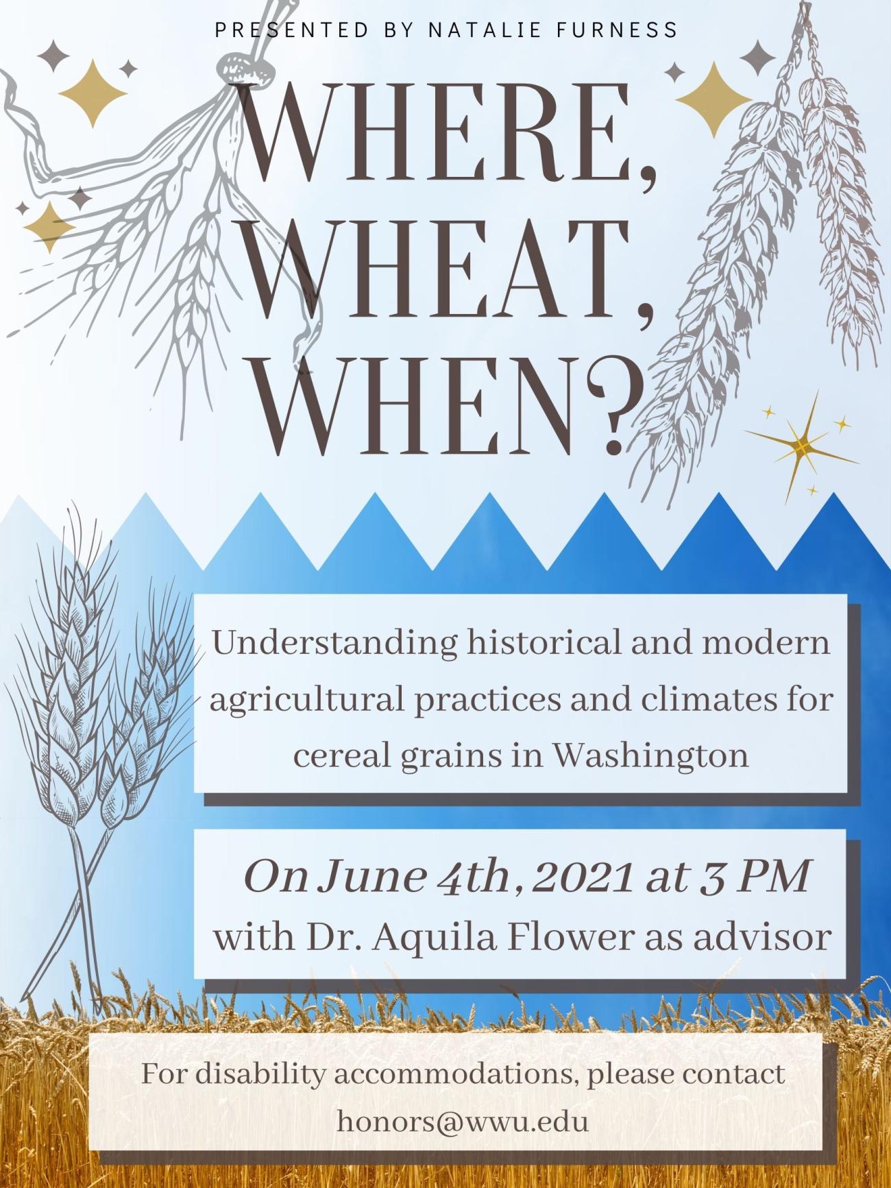 At the bottom is a photo of a wheat growing against a blue sky. Additional wheat graphics decorate around the text, which reads: "Where, Wheat, When? Understanding historical and modern agricultural practices and climates for cereal grains in Washington. Presented by Natalie Furness. On June 4th, 2021 at 3 PM, with Dr. Aquila Flower as advisor. For disability accommodations, please contact honors@wwu.edu". 