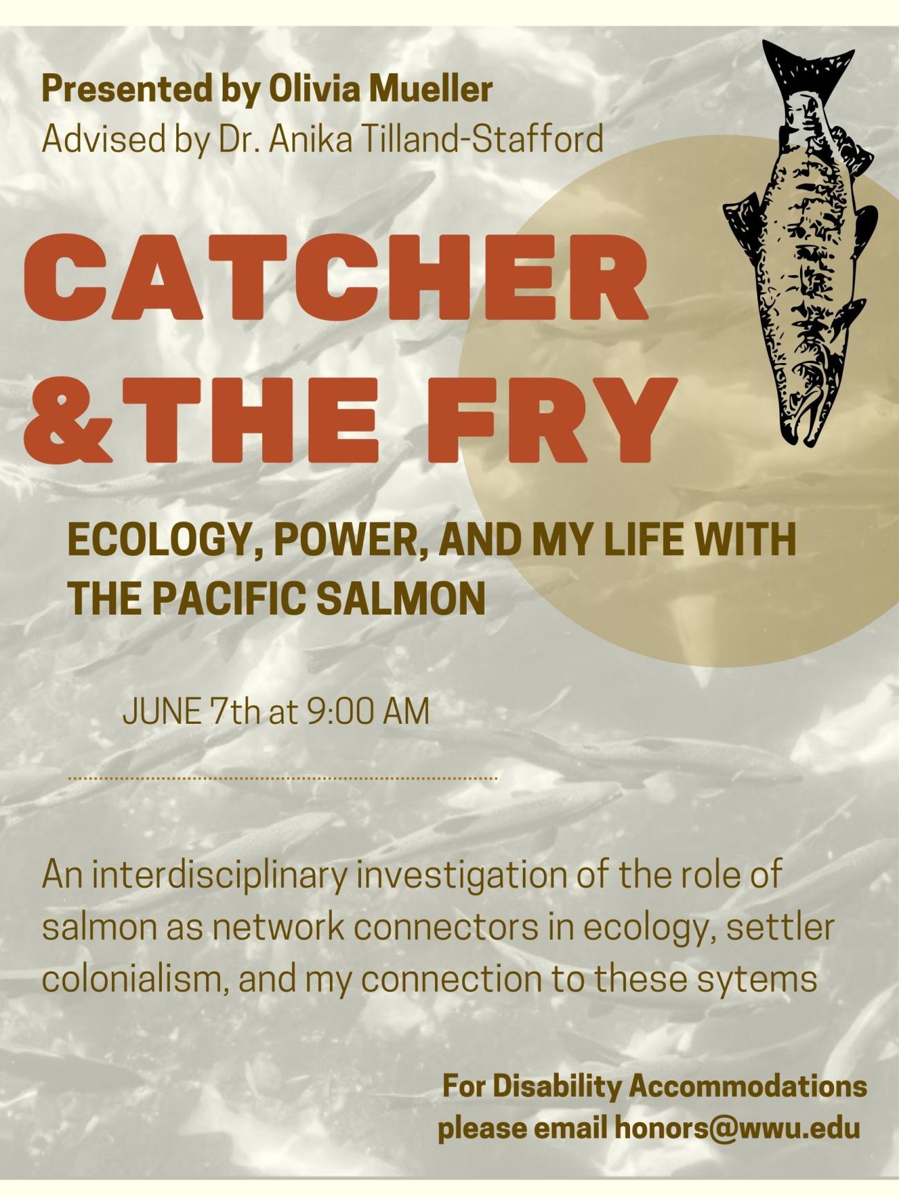 Photo of salmon swimming upstream, with overlaying text in red that reads: "Catcher & the Fry: Ecology, Power, and My Life with the Pacific Salmon. Presented by Olivia Mueller. Advised by Dr. Anika Tilland-Stafford. June 7th at 9:00 AM. An interdisciplinary investigation of the role of salmon as network connectors in ecology, settler colonialism, and my connection to these systems. For disability accommodations please email honors@wwu.edu". 