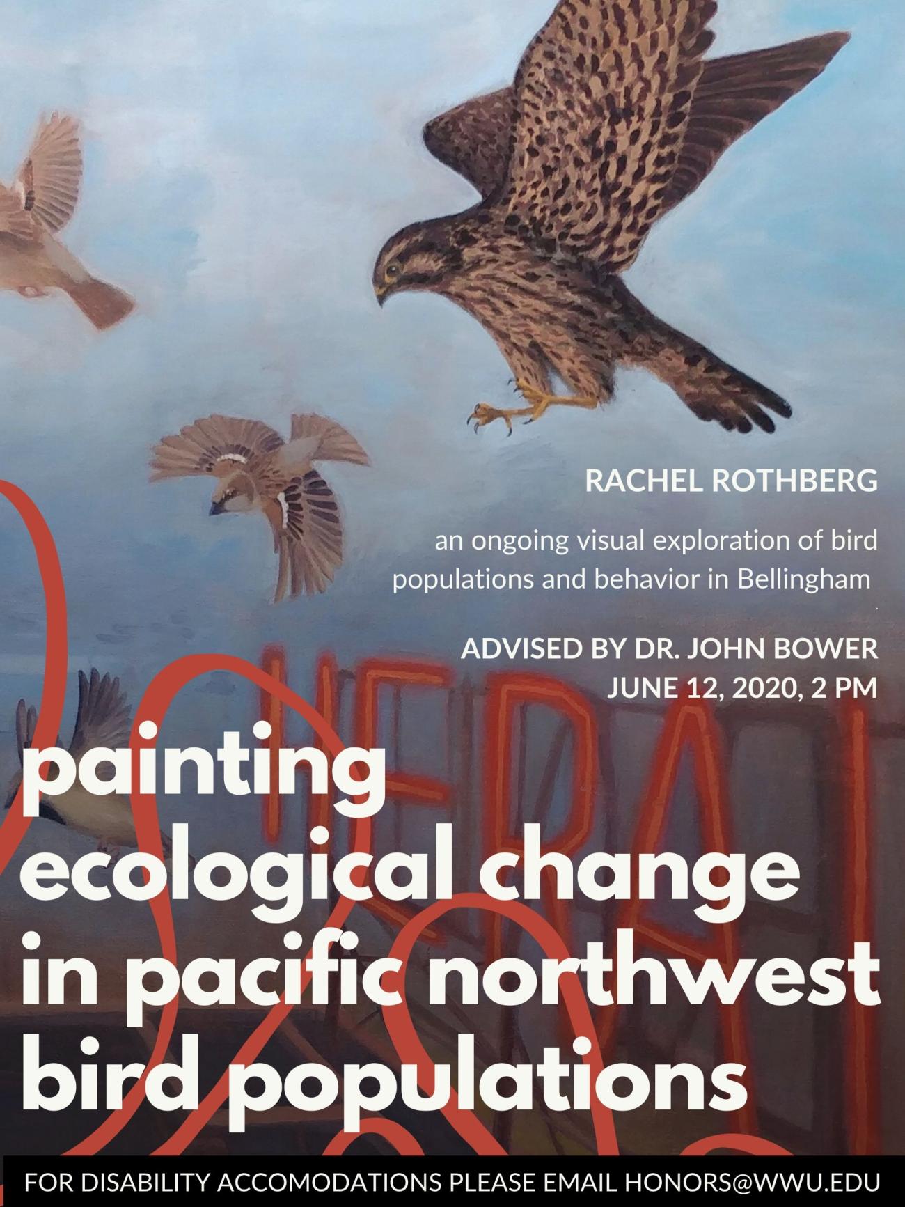Image: Painting of a Merlin Falcon hunting House Sparrows above the Herald Building in Downtown Bellingham.  Text reads: "Painting Ecological Change in Pacific Northwest Bird Populations."  "Rachel Rothberg. An ongoing visual exploration of bird populations and behavior in Bellingham. Advised by Dr. John Bower. June 12, 2020, 2 PM."  "For disability accommodations please email honors@wwu.edu."