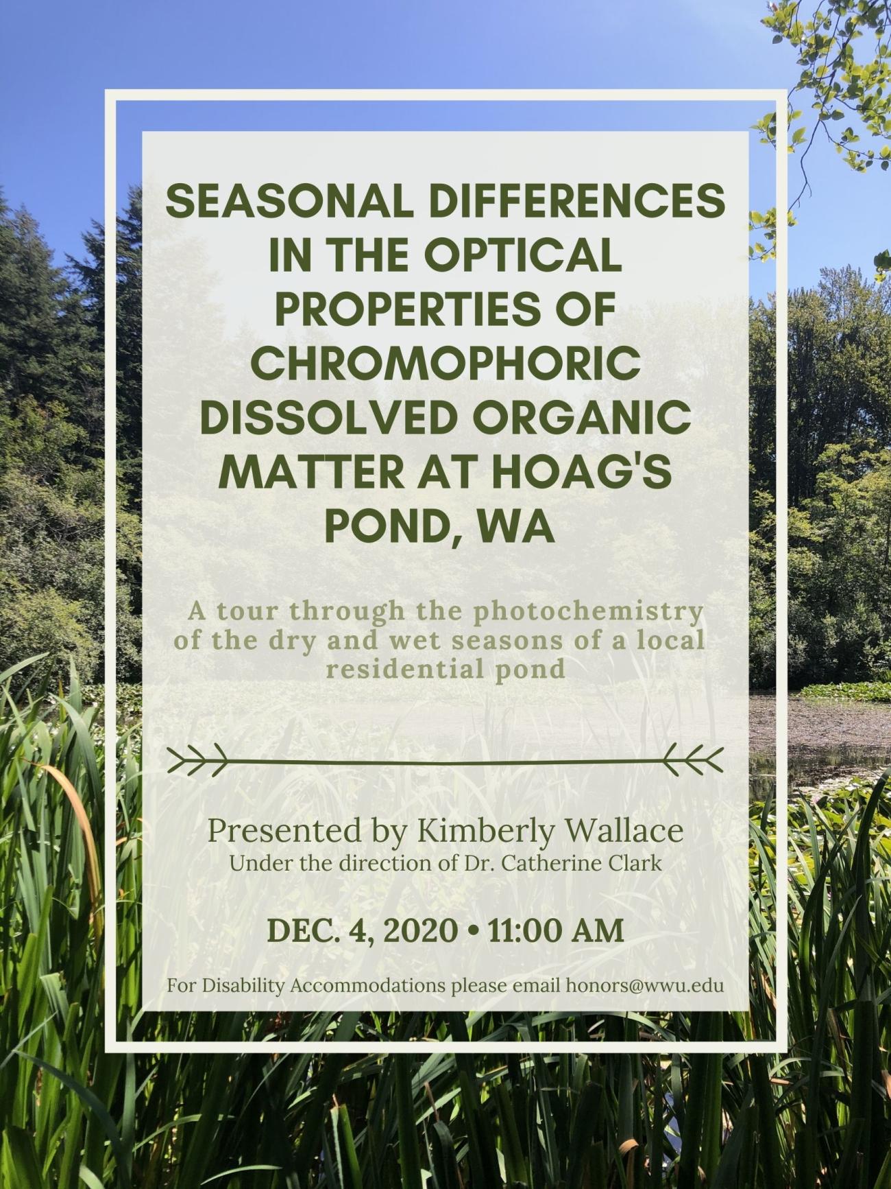 Image: A sunny day at Hoag's Pond, Bellingham. There're cattails in the foreground, pond in the background, trees in the distance, and a clear blue sky. Text: "Seasonal Differences in the Optical Properties of Chromophoric Dissolved Organic Matter at Hoag's Pond, WA. A tour through the photochemistry of the dry and wet seasons of a local residential pond. Presented by Kimberly Wallace. Under the direction of Dr. Catherine Clark. Dec. 4, 2020. 11 AM. For disability accommodations please email honors@wwu.edu"