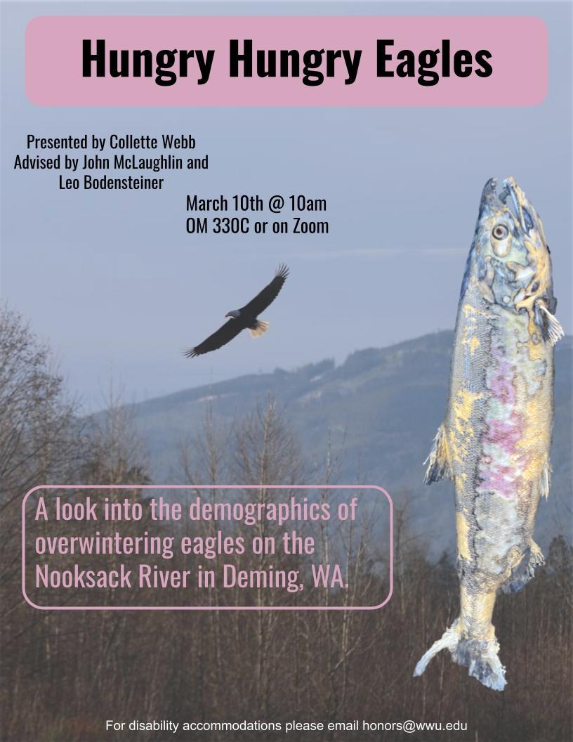 Poster with a flying eagle over deciduous trees with blue sky and mountain background. On the right side, a cut-out image of a coho salmon carcass. Text reads: "Hungry Hungry Eagles, presented by Collette Webb, advised by John McLaughlin and Leo Bodensteiner. March 10th at 10am. OM330C or on Zoom. A look into the demographics of overwintering eagles on the Nooksack River in Deming, WA. For disability accommodations, please email honors@wwu.edu"