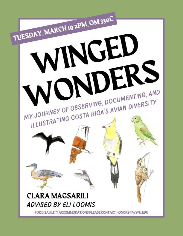 Seven water-colored birds with a white background and green border. Text reads: "Tuesday, March 19, 2pm, OM 330C. Winged Wonders: My Journey of Observing, Documenting, and Illustrating Costa Rica's Avian Diversity. Clara Magsarili advised by Eli Loomis. For disability accommodations please contact honors@wwu.edu."
